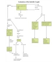 Evaluation of the Infertile Couple