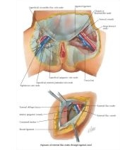 Smith GB 2E image