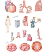 Bronchial Asthma