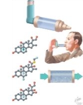 Pulmonary Pharmacology