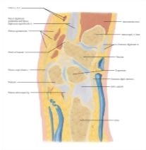Major image