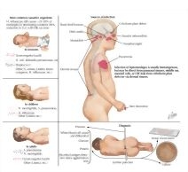 Jones 2E image