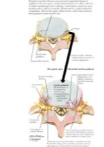 Jones 2E image