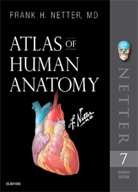 Anatomy Atlas - 7e