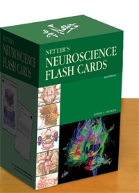 Flash Cards - Neuroscience, Fe...