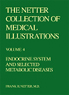 The Netter Collection of Medical Illustrations - Endocrine System