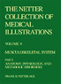 The Netter Collection of Medical Illustrations - Musculoskeletal System, Part I - Anatomy, Physiology and Metabolic Disorders