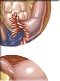 Tests for Tubal Patency