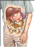 Bone Marrow Failure