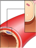 Control of Arteriolar Tone
