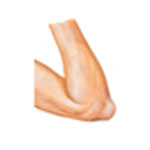 Elbow