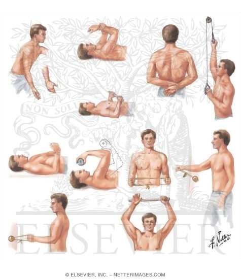 Exercises for Fracture of Proximal Humerus