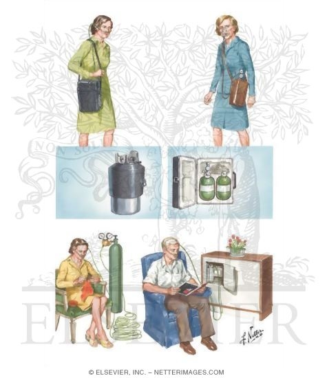 Watermarked preview of unlabeled image: Ambulatory and Home Use Oxygen Equipment