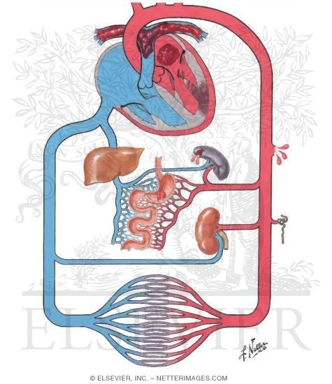 Watermarked preview of unlabeled image: Shock