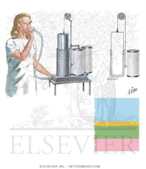 Spirometry: Lung Volumes and Subdivisions