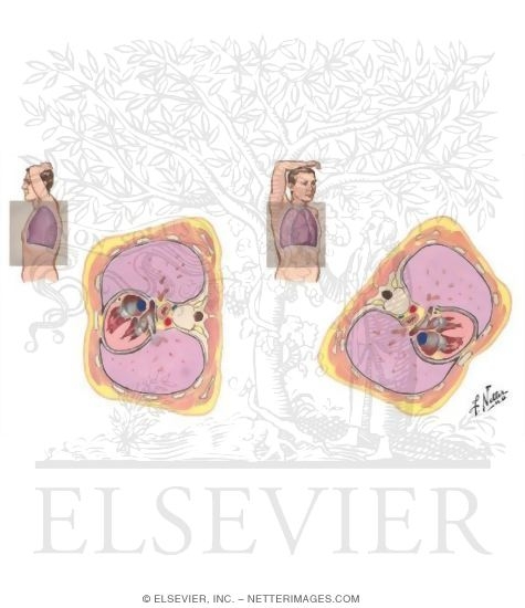 Roentgenologic Examination of the Lungs: Lateral View - Right Anterior Oblique View