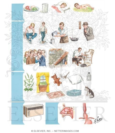 Watermarked preview of unlabeled image: General Management Principles for the Asthmatic Patient