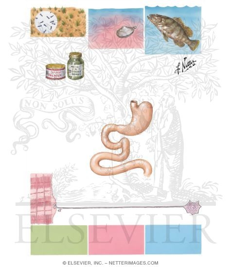 Food-Borne Neurotoxins