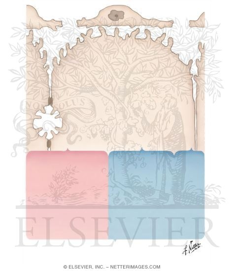 Watermarked preview of unlabeled image: Congenital and Familial Hyperbilirubinemias