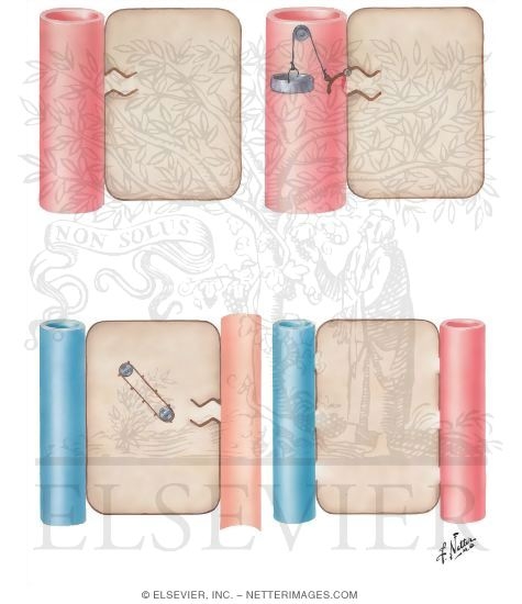 Watermarked preview of unlabeled image: Uptake of Glucose by Different Cells
