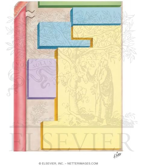 Watermarked preview of unlabeled image: Fat Metabolism