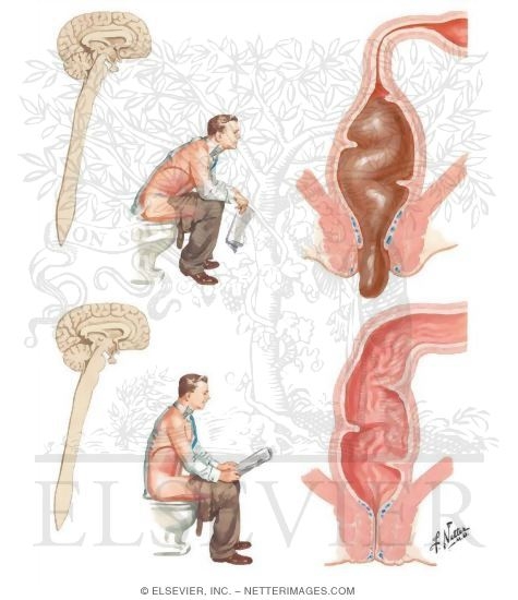Defecation