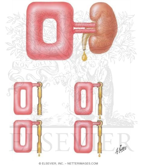 Watermarked preview of unlabeled image: Clearance Principle