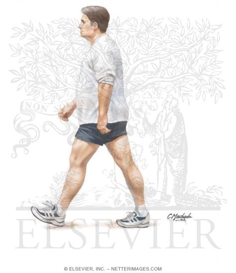 Watermarked preview of unlabeled image: Man Walking