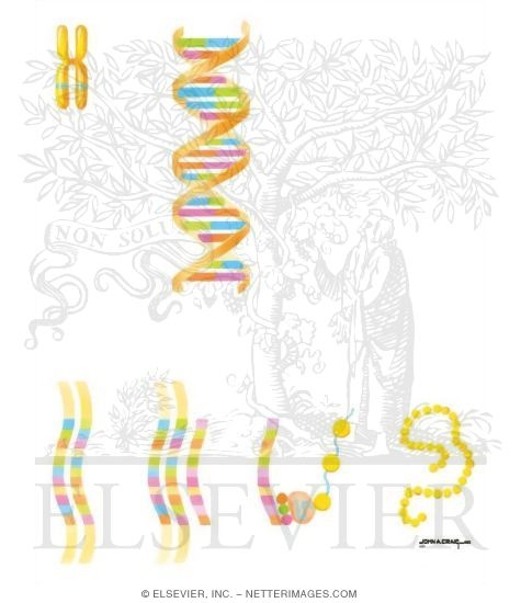 Watermarked preview of unlabeled image: Genetics in Cardiovascular Medicine