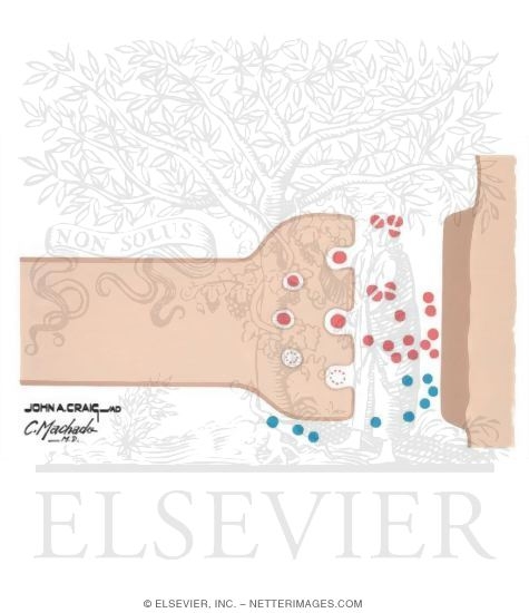 Watermarked preview of unlabeled image: Pharmacologic Management Options in Alzheimer's Disease