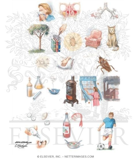 Asthma Triggers