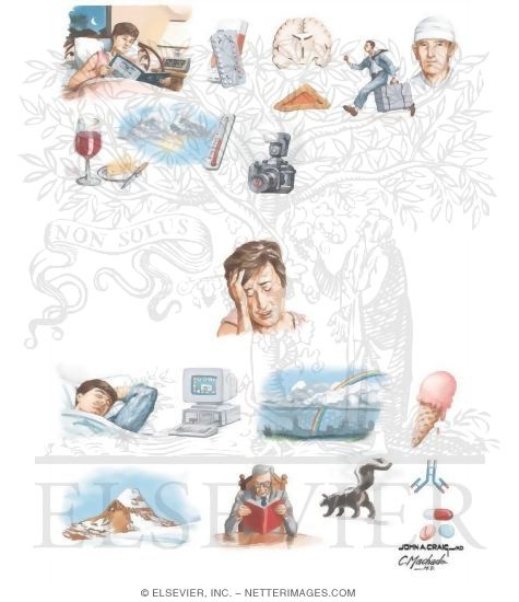 Triggers of Migraine