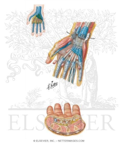Other Structures: Hand Spaces