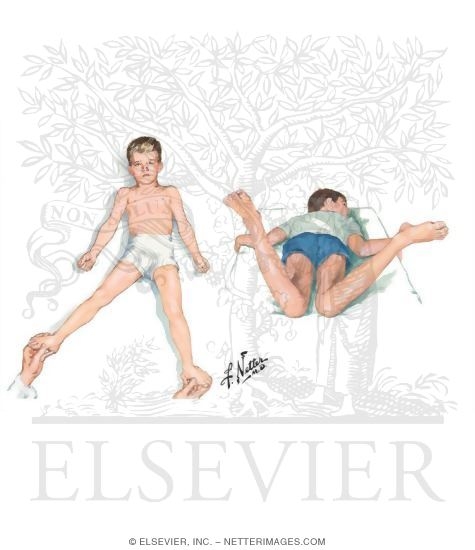 Watermarked preview of unlabeled image: Physical Exam