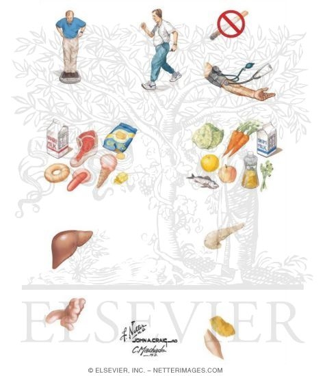 Watermarked preview of unlabeled image: Diabetes Mellitus: Management and Therapy