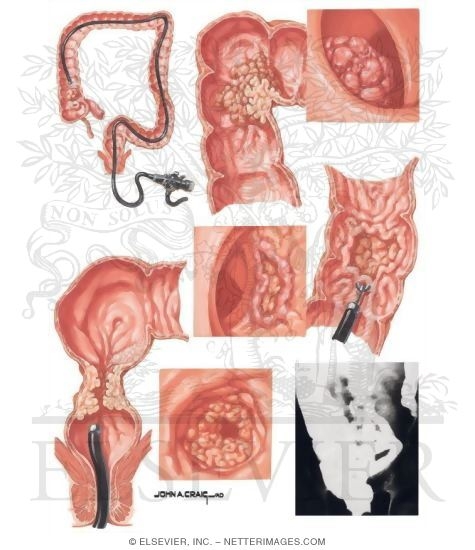 Watermarked preview of unlabeled image: Diagnostic Techniques
