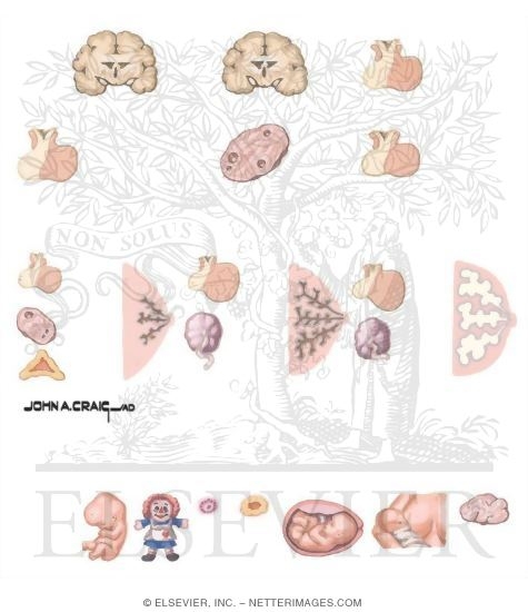 Prolactin