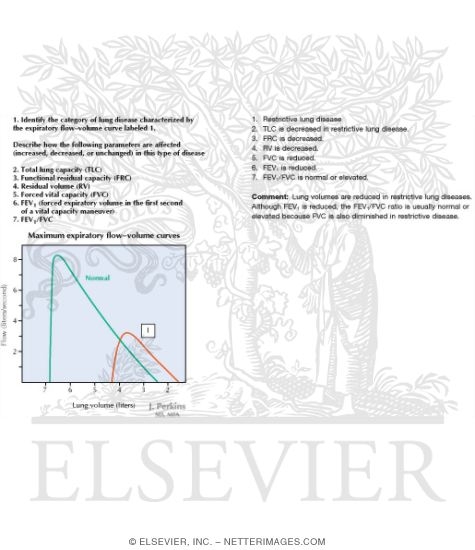 Watermarked preview of labeled image: Restrictive Pulmonary Disease