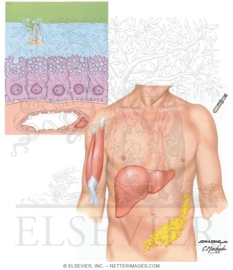 Replenish Or Neutralize Endogenous Chemicals