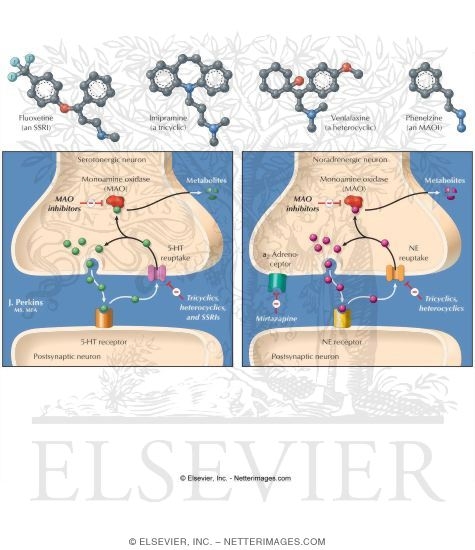 Antidepressants: Mechanisms of Action