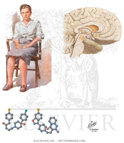 Psychosis and Dopamine Pathways