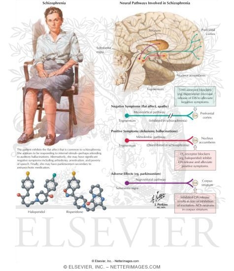 Psychosis and Dopamine Pathways