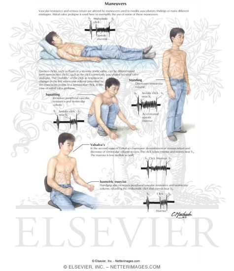Maneuvers in Cardiac Physical Examination