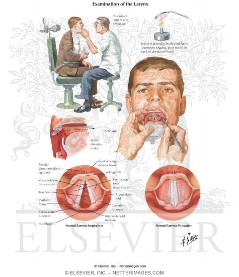 Examination of the Larynx