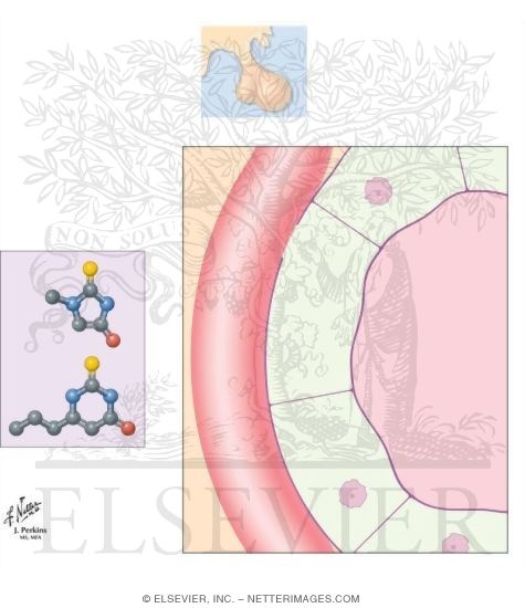 Watermarked preview of unlabeled image: Thioamides
