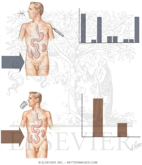 Evaluation of the Small Bowel: D-Xylose Absorption Test and Schilling Test