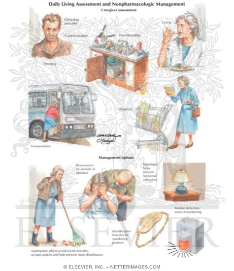 Watermarked preview of labeled image: Daily Living Assessment and Nonpharmacologic Management In Alzheimer Disease