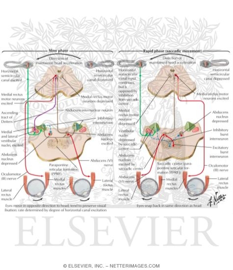 Nystagmus