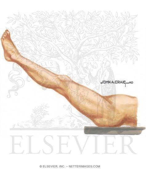 Zero Starting Position and Arc of Flexion
