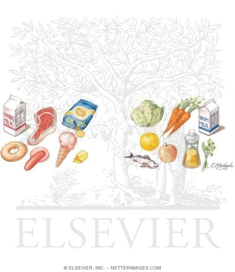 Watermarked preview of unlabeled image: Food